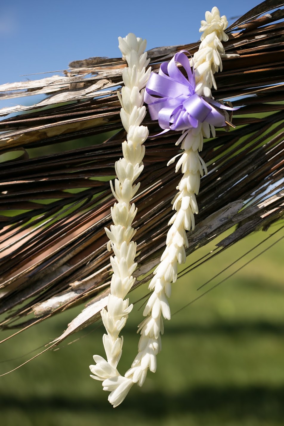 tuberose lei